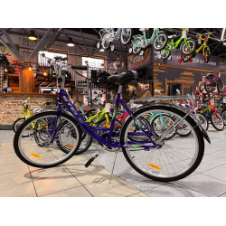 Велосипед Stels Legenda 240 26C (19" Синий)