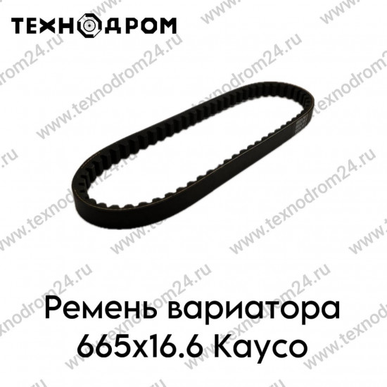 Ремень вариатора 665х16.6 Kayco