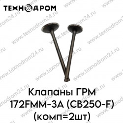 Клапаны ГРМ 172FMM-3A (CB250-F) (комп=2шт) Клапаны ГРМ 172FMM-3A (CB250-F) (комп=2шт)
