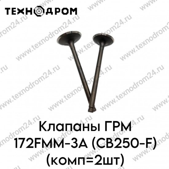 Клапаны ГРМ 172FMM-3A (CB250-F) (комп=2шт)