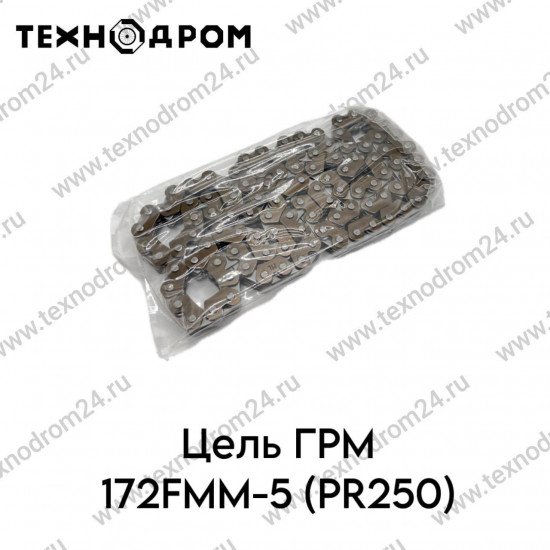 Цепь ГРМ 172FMM-5 (PR250)