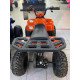 Квадроцикл YACOTA RAPOSA 110 Квадроцикл YACOTA RAPOSA 110