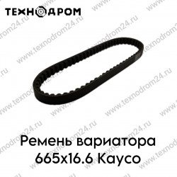 Ремень вариатора 665х16.6 Kayco