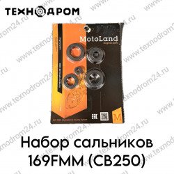 Набор сальников 169FMM (CB250)