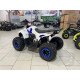 Квадроцикл YACOTA RAPOSA 110 Квадроцикл YACOTA RAPOSA 110