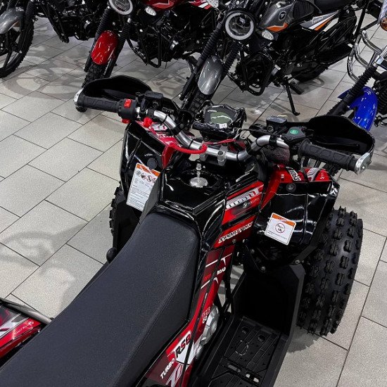 Квадроцикл YACOTA SPORTY XX 125 Квадроцикл YACOTA SPORTY XX 125